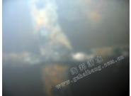 水下桩基露筋情况