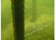  水下钻孔植筋