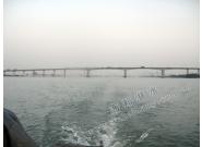 中山港大桥水中墩检测